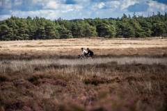 merlijnsphotography-chouffeclassic2025-3713