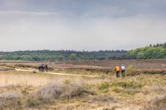 Chouffeclassic2026-MerlijnSPhotography-3476
