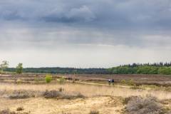 Chouffeclassic2026-MerlijnSPhotography-3504